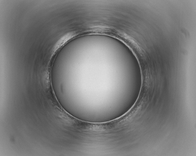 X0000116291362200911301410