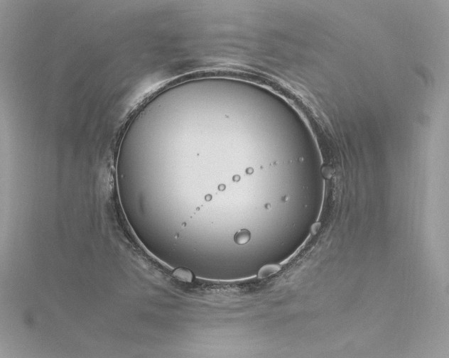 X0000116291363200911301410