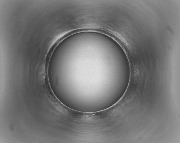 X0000116291364200911301410