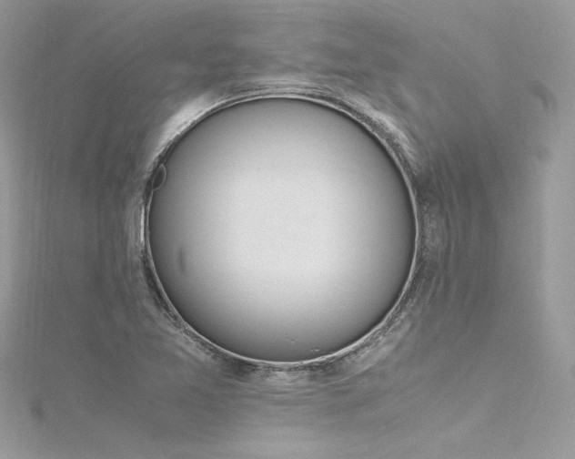 X0000116291365200911301410