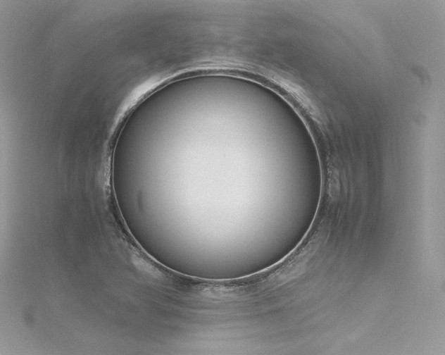 X0000116291366200911301410