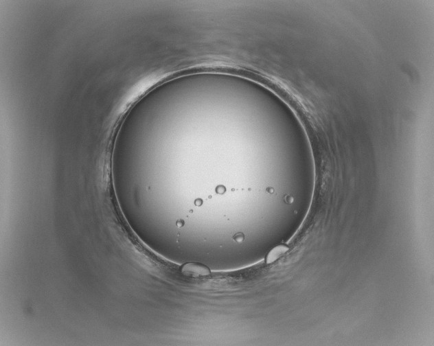 X0000116291367200911301410