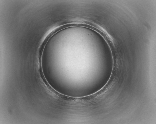 X0000116291368200911301410