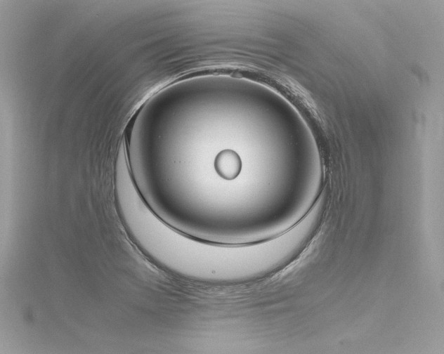 X0000116291369200911301410