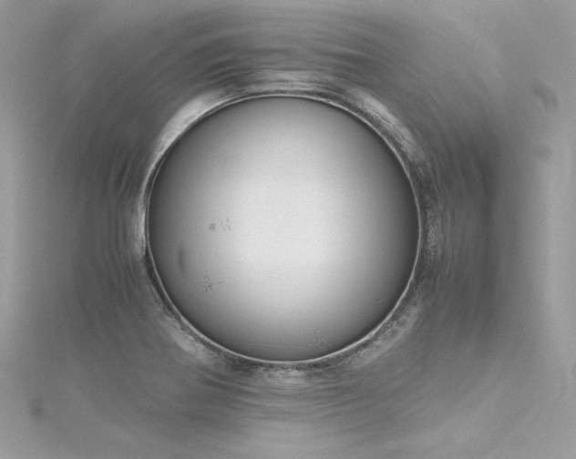 X0000116291370200911301410