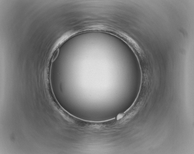 X0000116291373200911301410