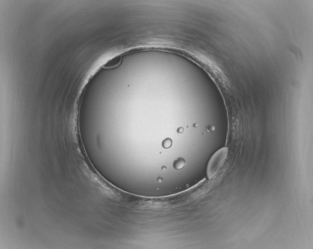 X0000116291374200911301410