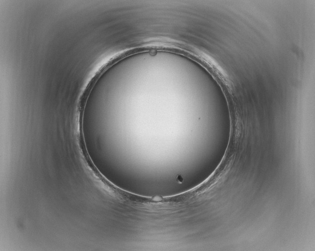 X0000116291376200911301410