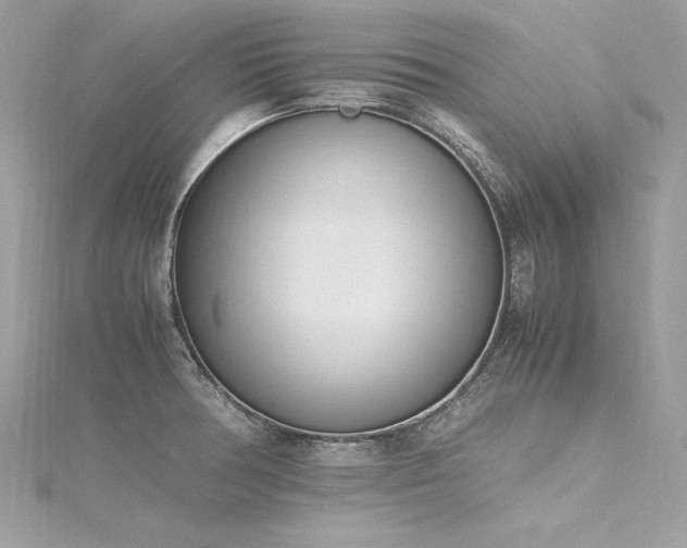 X0000116291378200911301410