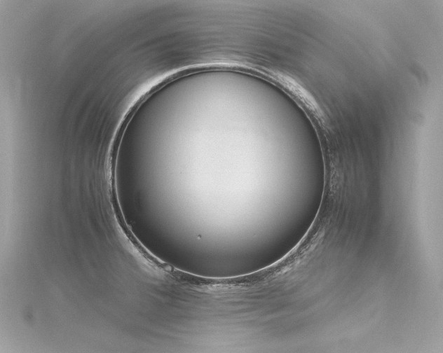 X0000116291380200911301410