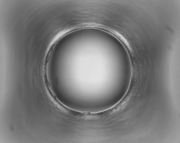 X0000116291381200911301410