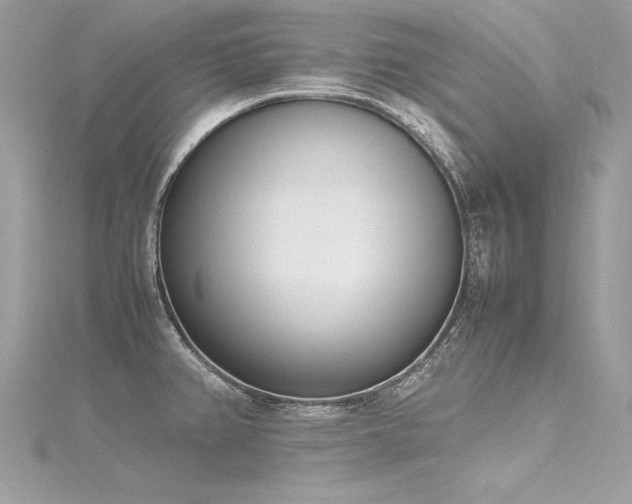 X0000116291382200911301410