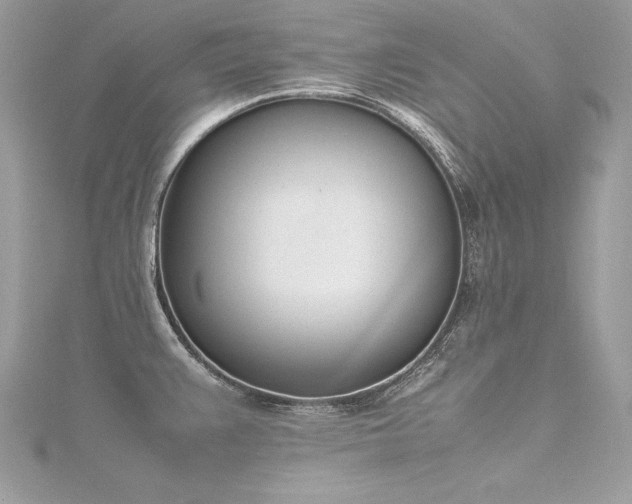 X0000116291383200911301410