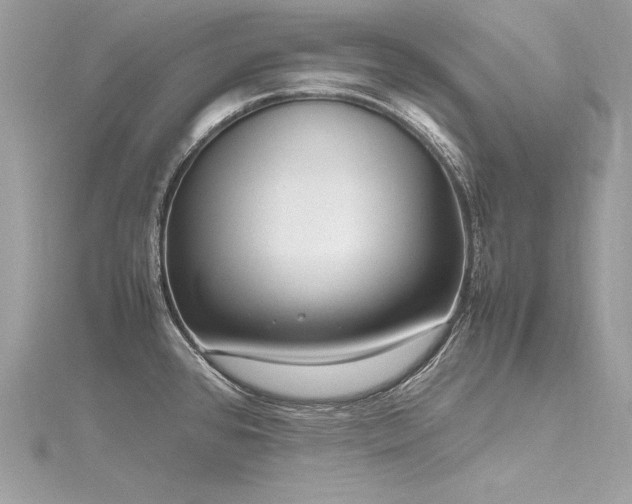 X0000116291384200911301410