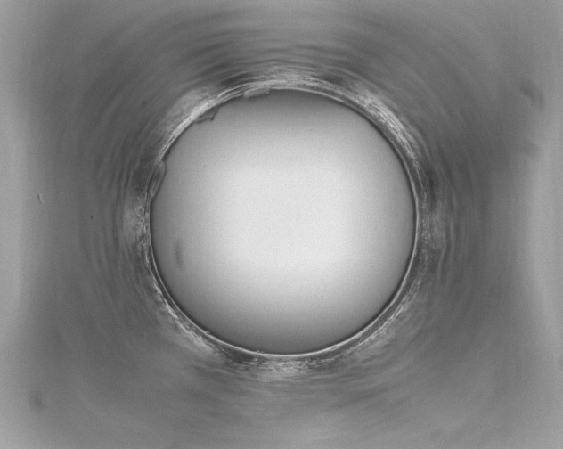 X0000116291385200911301410