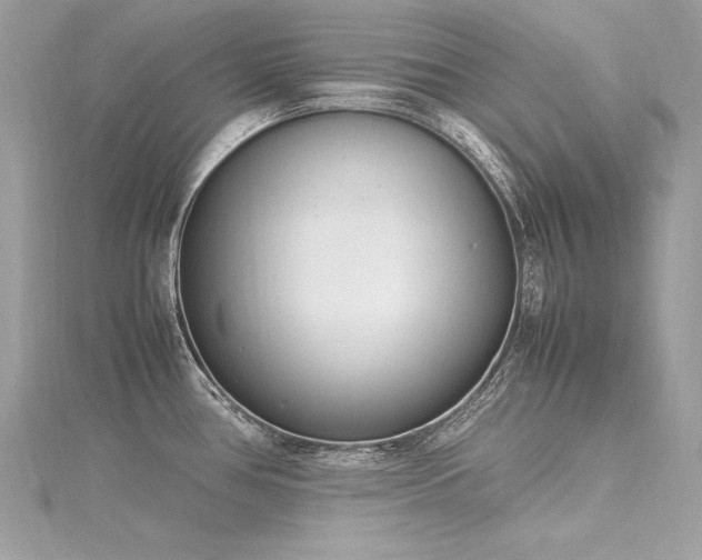 X0000116291386200911301410