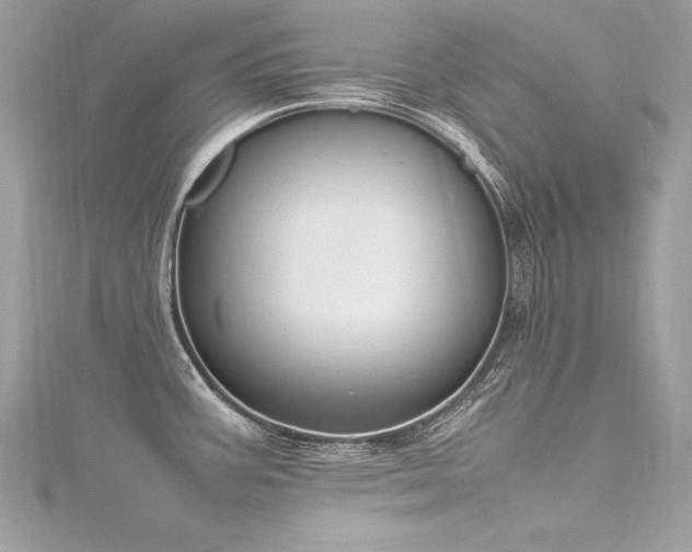 X0000116291387200911301410