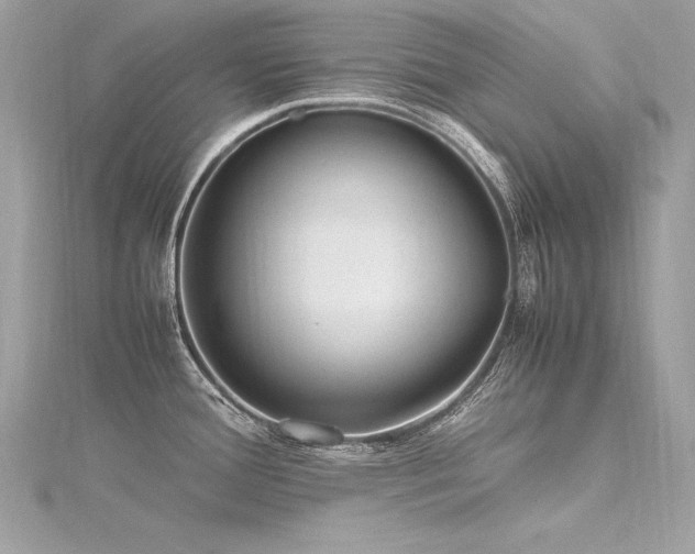 X0000116291388200911301410