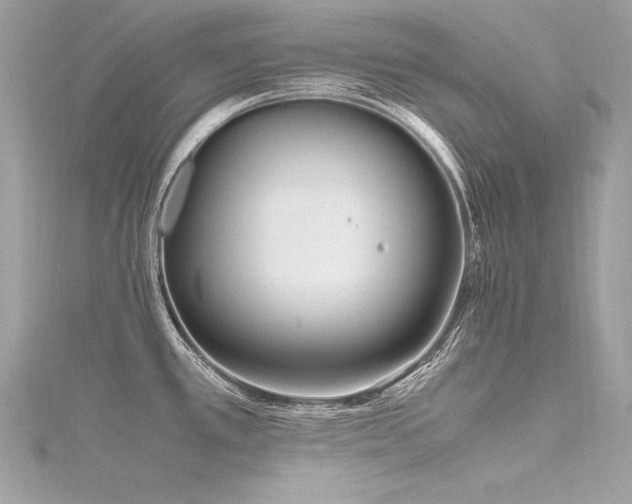 X0000116291389200911301410