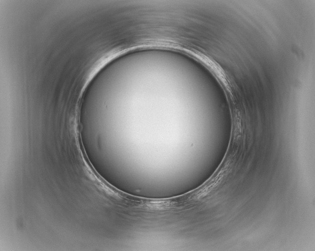 X0000116291390200911301410