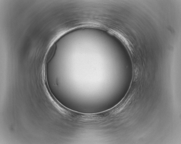 X0000116291391200911301410