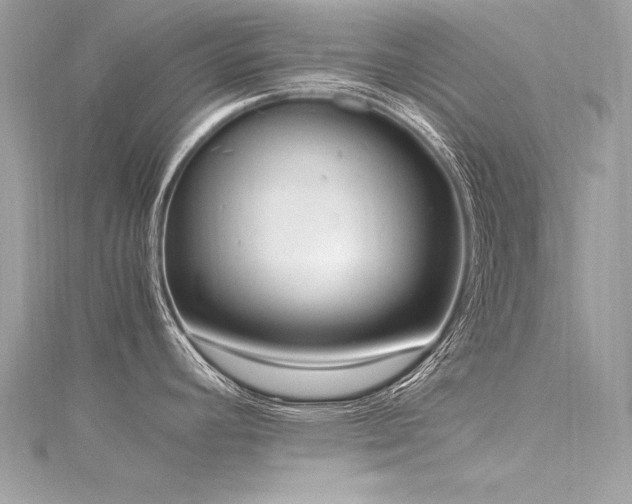 X0000116291392200911301410