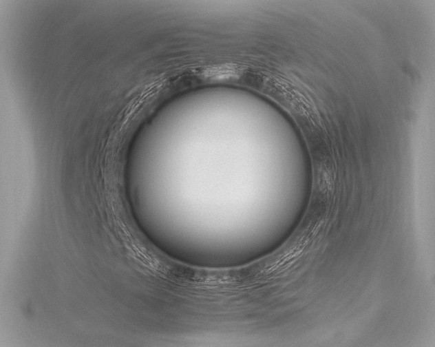 X0000116291393200911301409