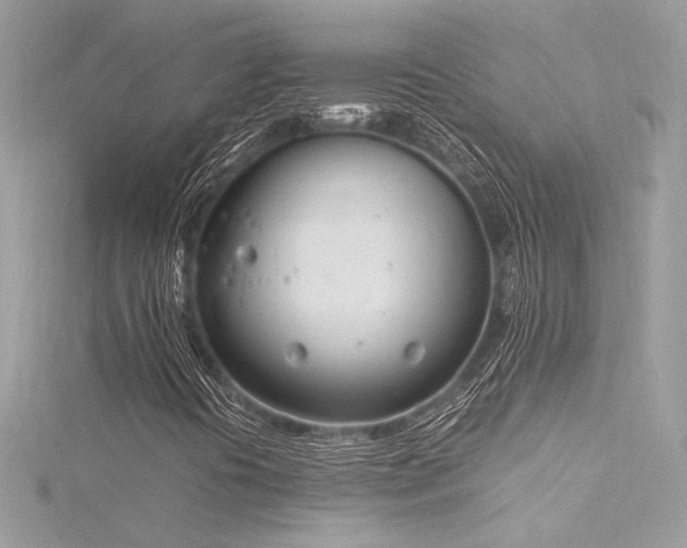 X0000116291394200911301409