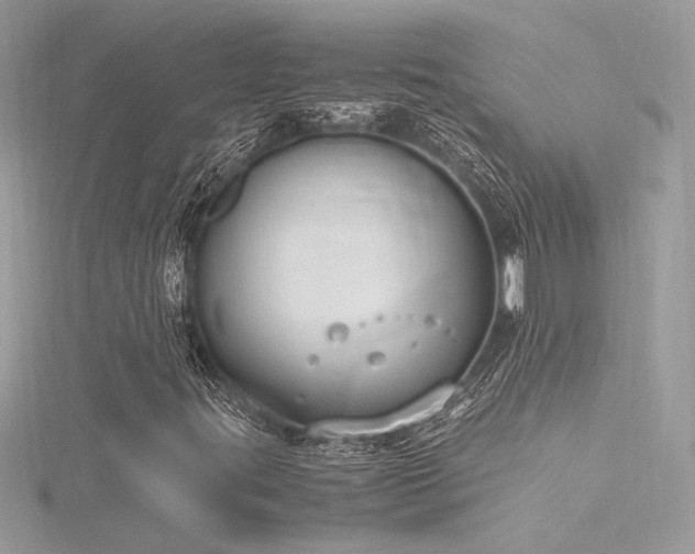 X0000116291395200911301409