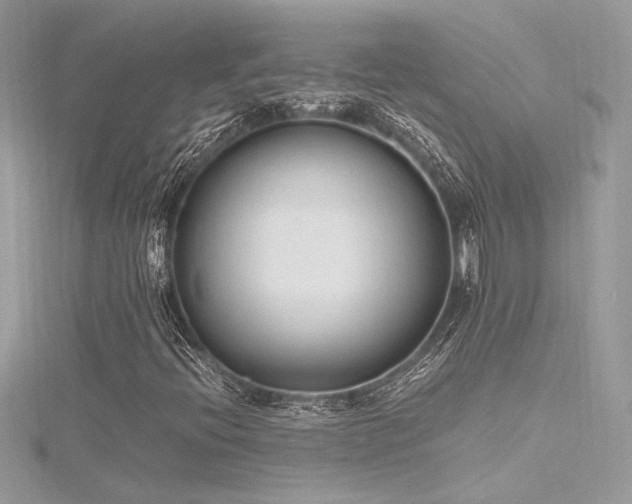 X0000116291396200911301409