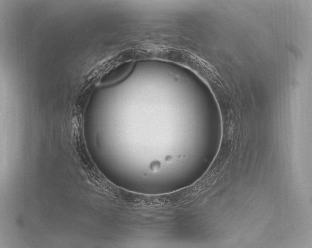 X0000116291397200911301409