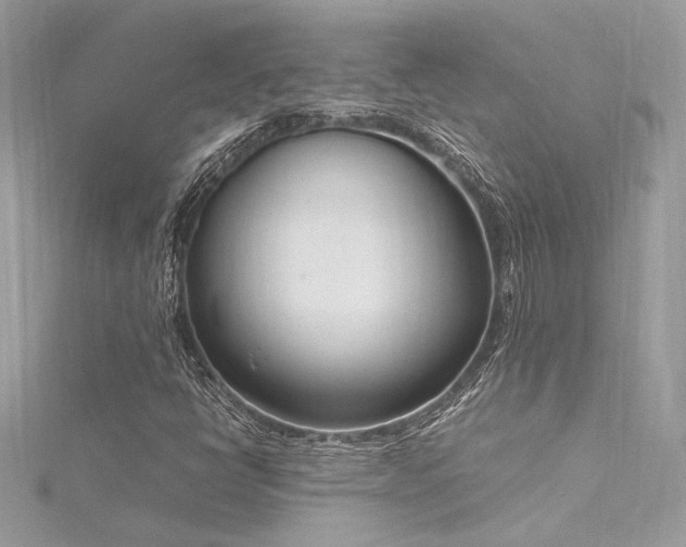 X0000116291398200911301409