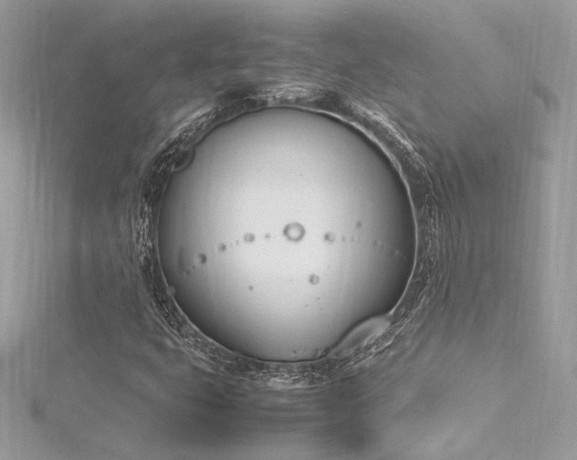 X0000116291399200911301409