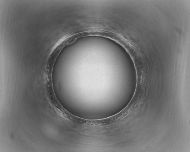 X0000116291400200911301409