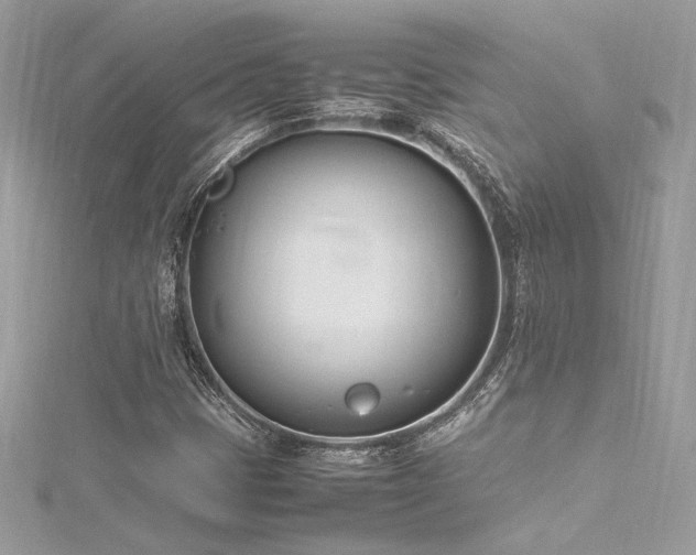 X0000116291401200911301409