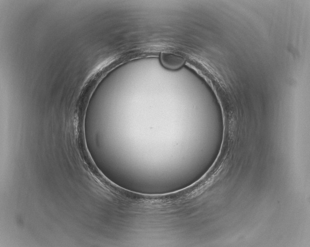 X0000116291402200911301409