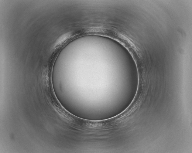 X0000116291403200911301409