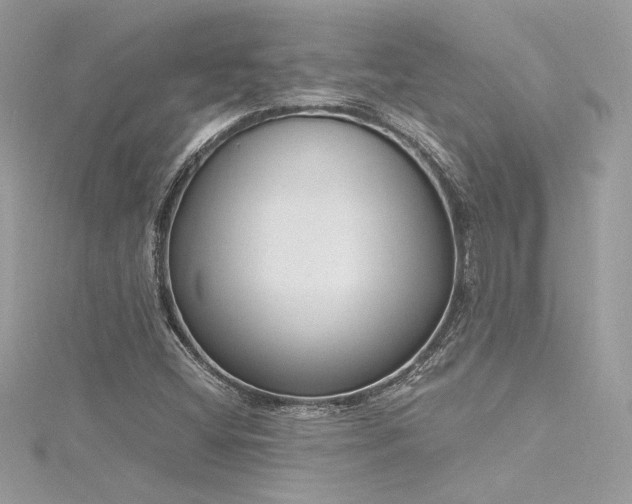 X0000116291404200911301409