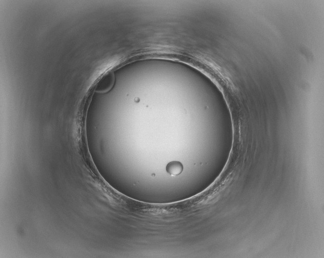 X0000116291405200911301409