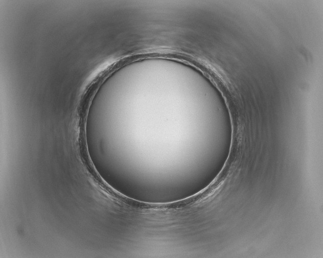 X0000116291406200911301409