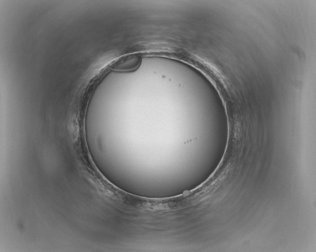 X0000116291407200911301409