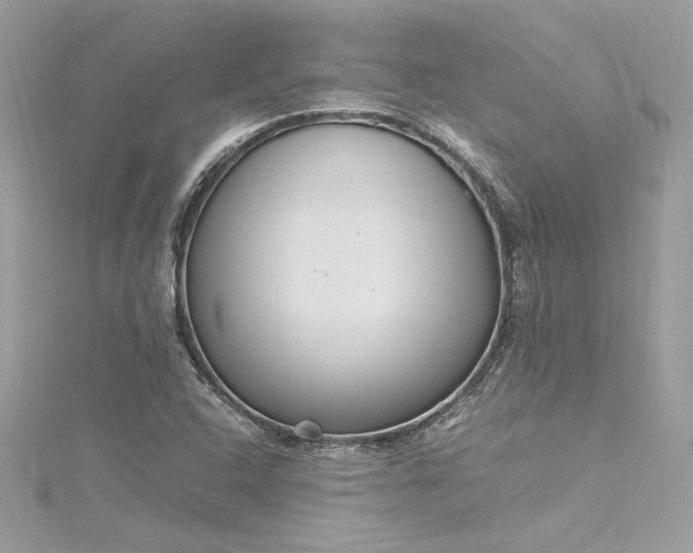 X0000116291408200911301409