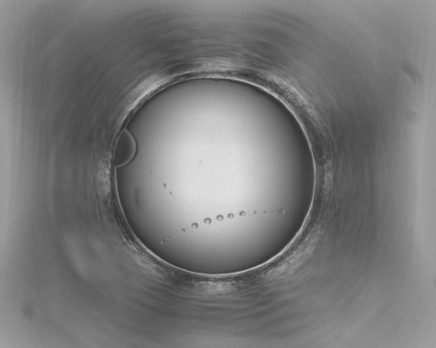 X0000116291409200911301409