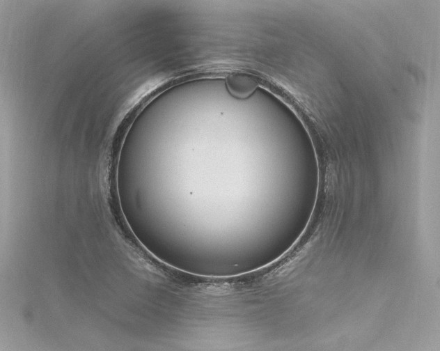 X0000116291410200911301409