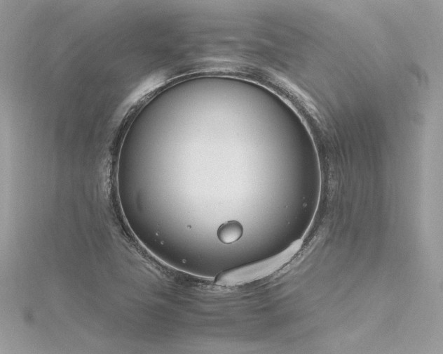 X0000116291411200911301409