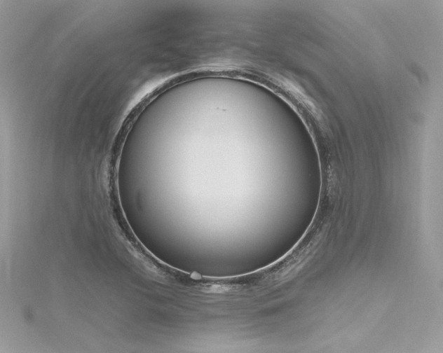 X0000116291412200911301409