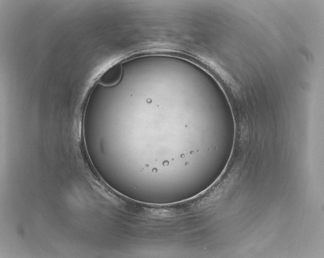 X0000116291413200911301409