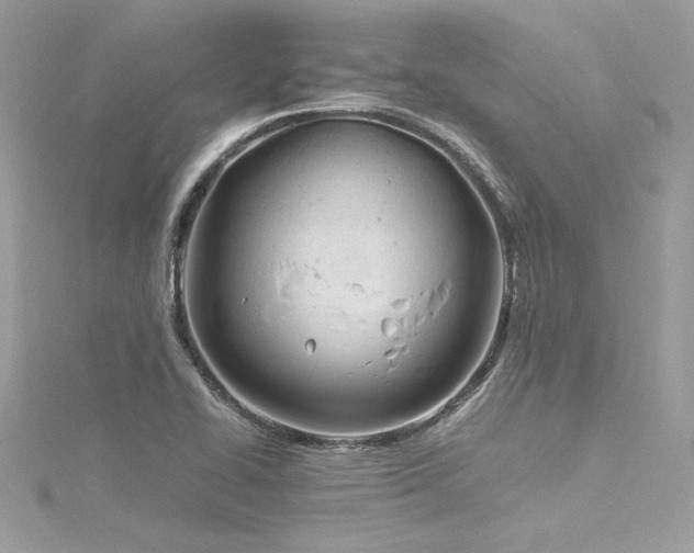 X0000116291414200911301409