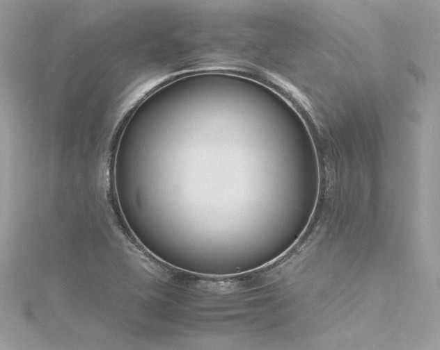 X0000116291415200911301409