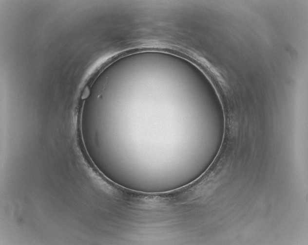 X0000116291416200911301409